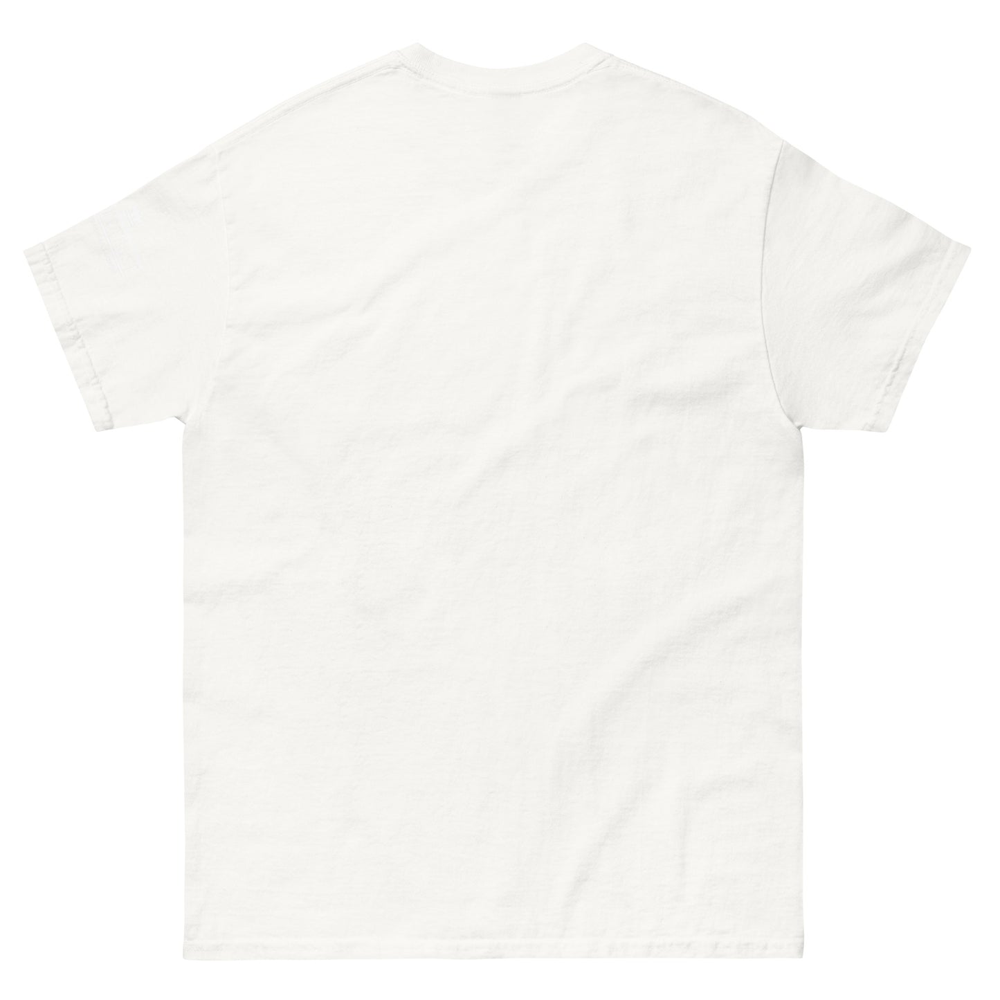 Fun in the Sun Unisex classic tee